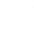 1200px-Twitter hvit transparent.png